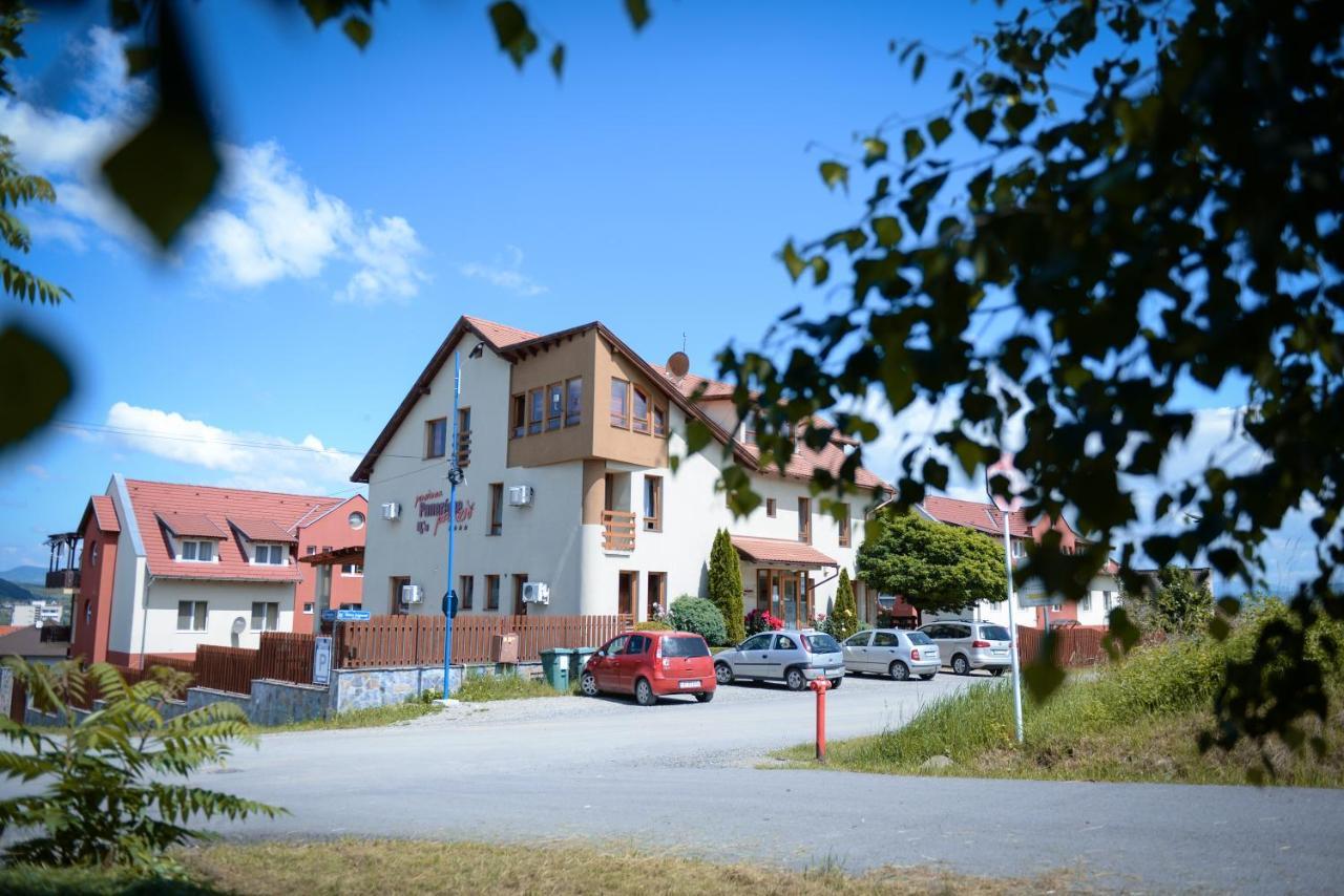 Pension Panorama Odorheiu Secuiesc Bagian luar foto